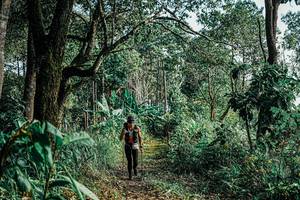 BIB: 
                            <button type="button" onclick="openModal(25660548)" class="btn btn-primary btn-sm float-right btn-popup" data-toggle="modal" data-target=".modal-high-quality">
                        <i class="fas fa-shopping-cart"></i> Add to Cart
                    </button>
                                            <button type="button" onclick="isThisMe(25660548, true)" class="btn btn-success btn-sm float-right btn-popup btn-isme hidden" data-toggle="tooltip" data-placement="bottom" title="นี่คือรูปของคุณใช่ไหม คลิกที่นี่เพื่อเอาเข้าอัลบั้ม">
                        <i class="fas fa-plus"></i> Add to album
                    </button>
                    <button type="button" onclick="isThisMe(25660548, false)" class="btn btn-warning btn-sm float-right btn-popup btn-isnotme hidden">
                        <i class="fas fa-ban"></i> Remove from album
                    </button>